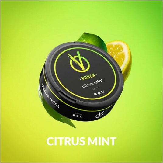 VPOUCH CITRUS MINT 32 MG
