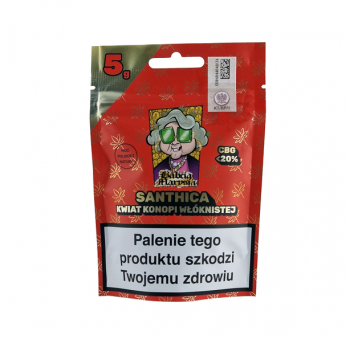 Susz SBM SANTHICA 5G
